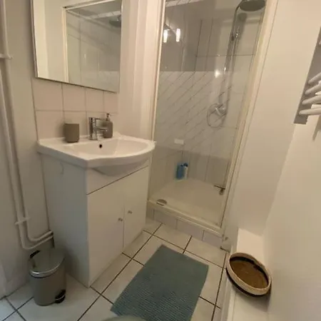 Le Curieux St Dizier Apartman *