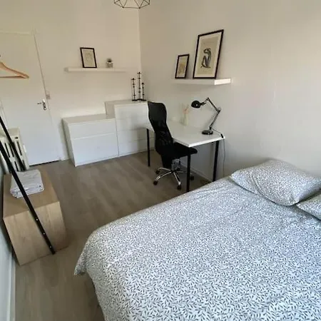 Le Curieux St Dizier *