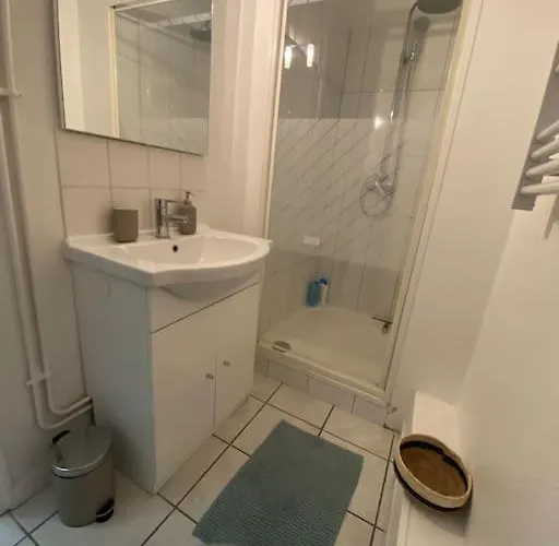 Le Curieux St Dizier Apartamento *